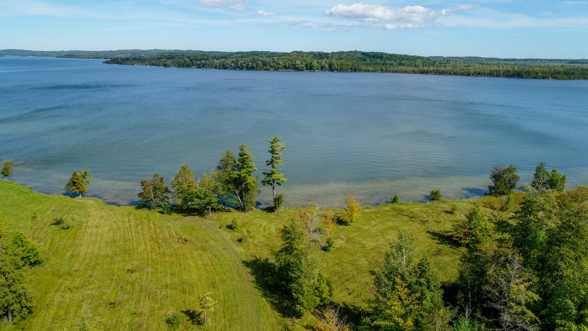 Mark Hagan Real Estate